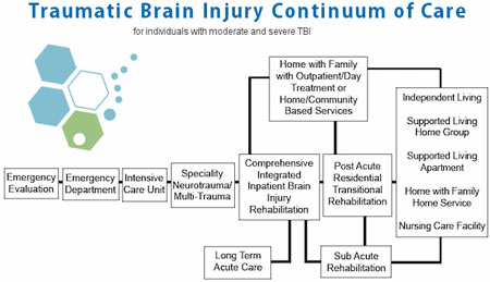 Neural Stem Cell Therapy for Brain Injuries CTE TBI