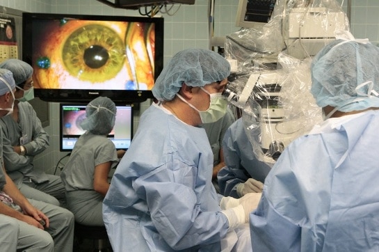sight-vision-stem-cells-retina-cornea-repair