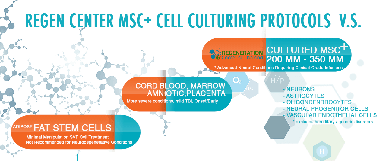 How Long Can Cord Blood Stem Cells Be Stored Cryo Cell