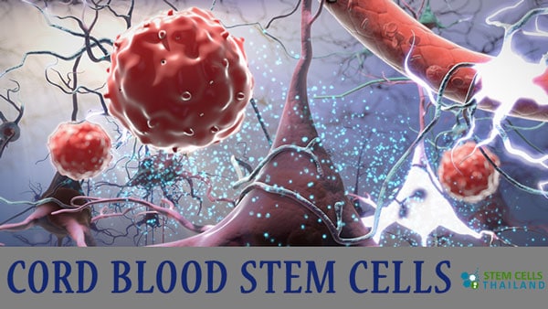 Stem Cells From Umbilical Cord Tissue Mesenchymal Stem Cells