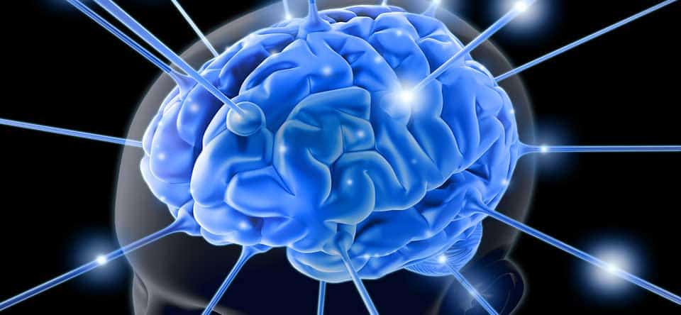 stem cell therapy for cerebral palsy