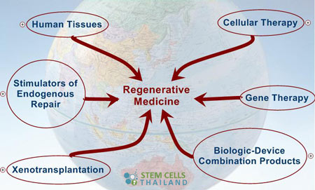 Regenerative Medicine For Cosmetics