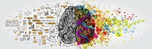 stem-cells-neuroplasticity