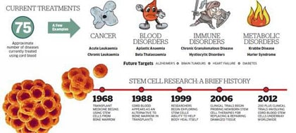 history-stem-cell-cord-blood