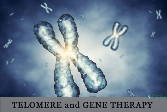 Telomere gene therapy thailand