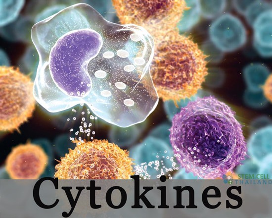 cytokines ilterlukin