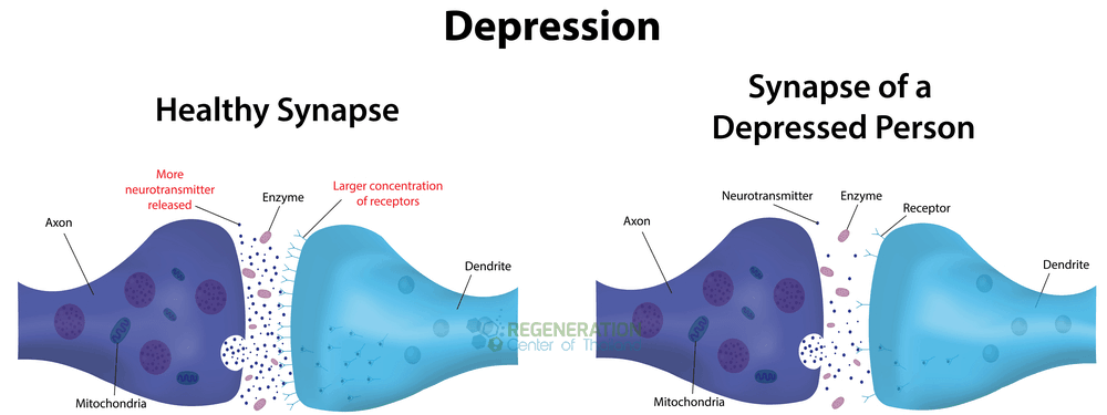 neuron neurotransmitters