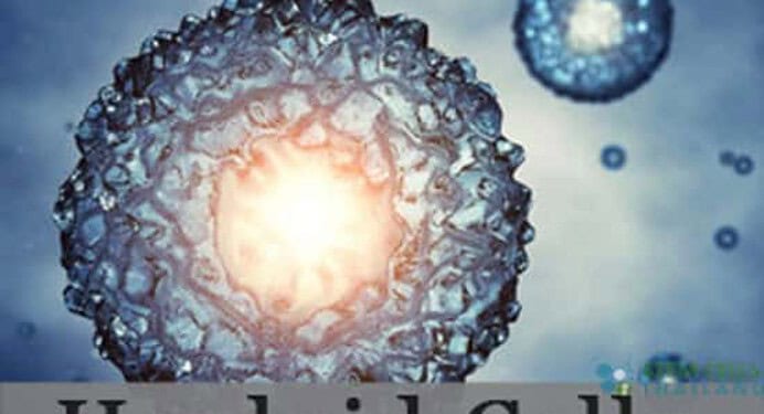 Haploid Cell Function and Cellular Formation in Humans