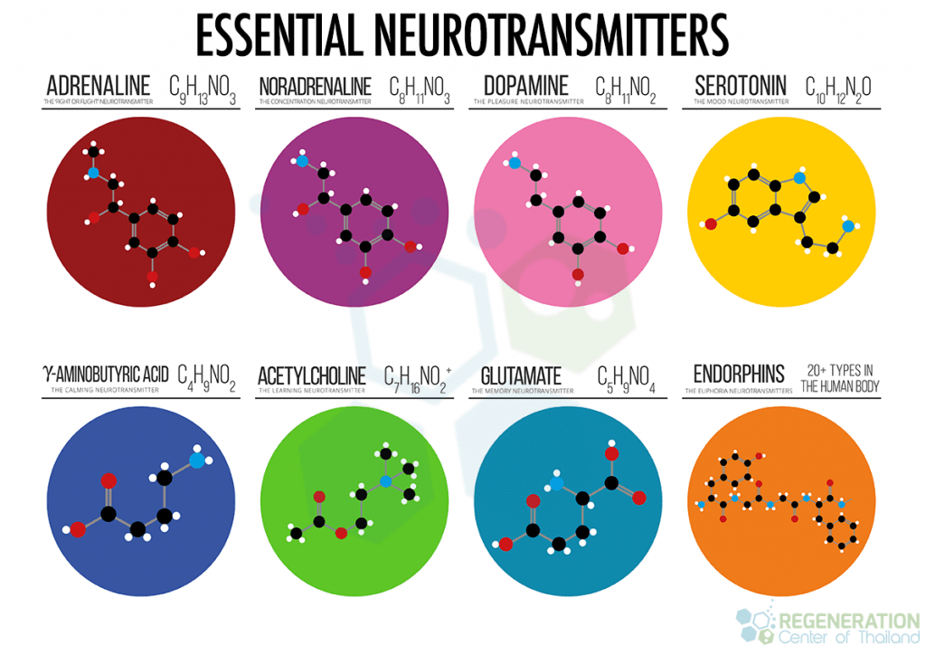 structures-of-neurotransmitters