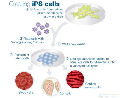 STAP cells are derived from ES cells