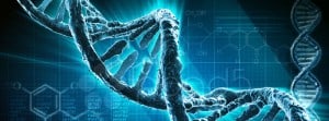 about stemcells