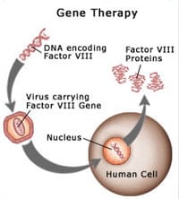 gene-therapy