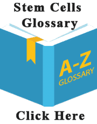 stem-cell-glossary