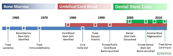 History-Dental-pulp-Stem-Cells