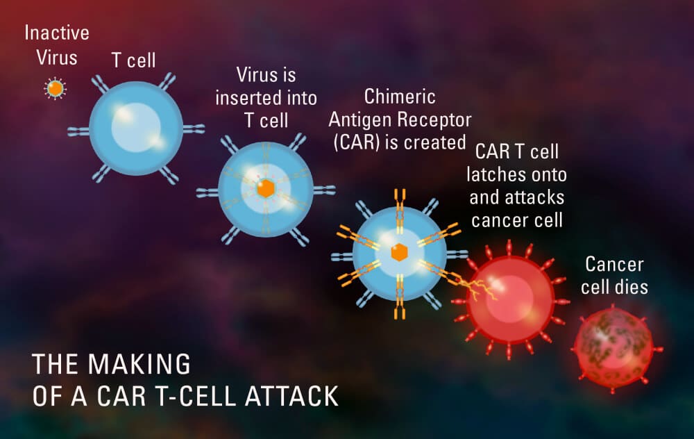 cell-attack