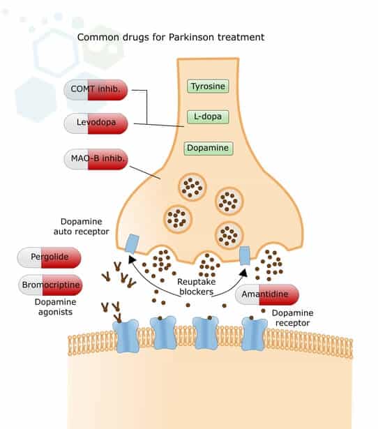 stemcell-medications-parkinsons-stem cell treatment