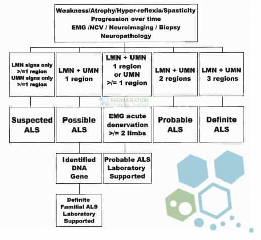 El-Escorial-criteria-mnd