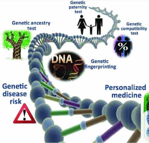 Proactive Genetic Disorder Screening & DNA Testing For Mutation