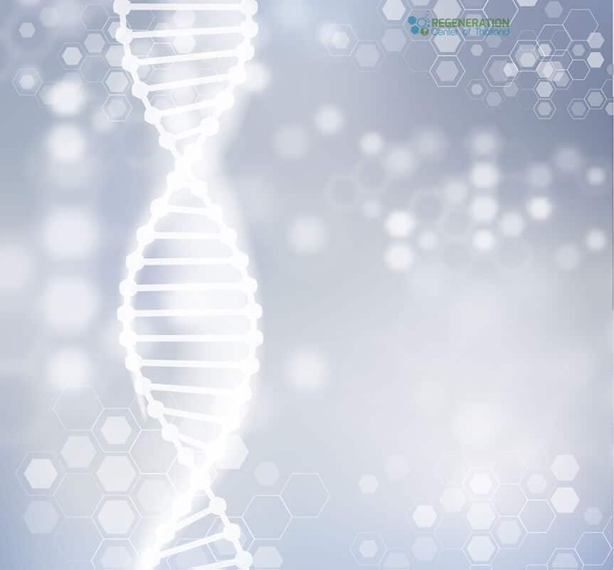 A genetic counseling consultation