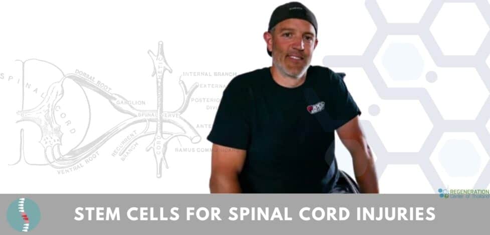cell treatment spinal cord injury c spinal transection
