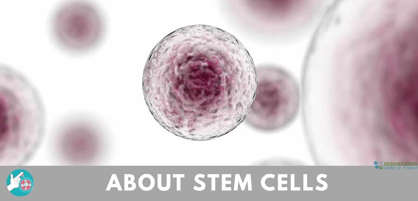 Stem cell therapy for your health: 4 things you need to know