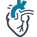 cardiology heart cardiovascular disease