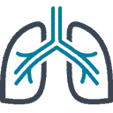 lung pulmonary stemcells
