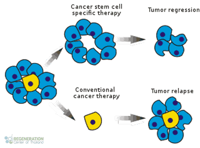 lung-cancer-cell-therapy-thailand