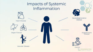 Impacts-of-systemic-inflammation
