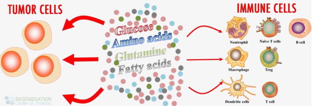 Impact of Metabolism on Cell Death