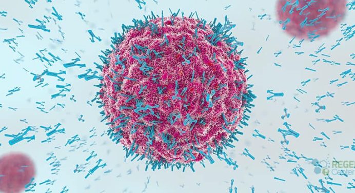 Targeting the metabolic system to defeat Cancer