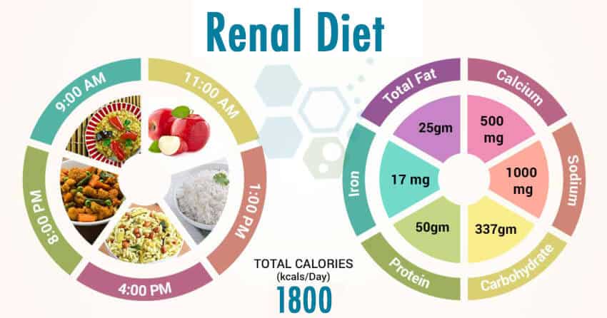 foods-that-are-good-for-the-kidneys-renal-pinterest-food-renal