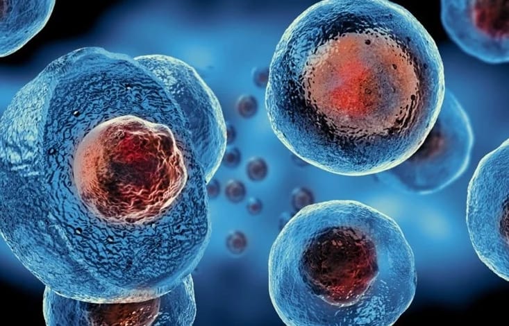 stem-cell-culturing-regencenter-2022