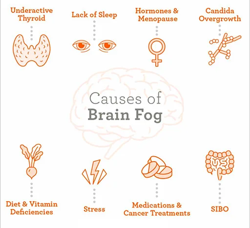 5 types of brain fog you might experience  Brain fog remedies, Brain fog,  What is brain
