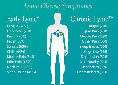 lymedisease-stem-cel-therapy