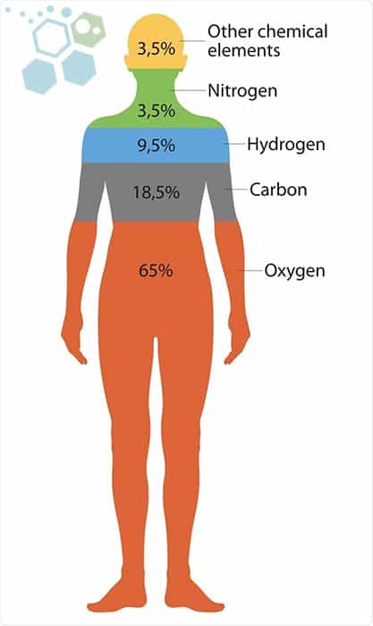 Chemical Elements In The Body