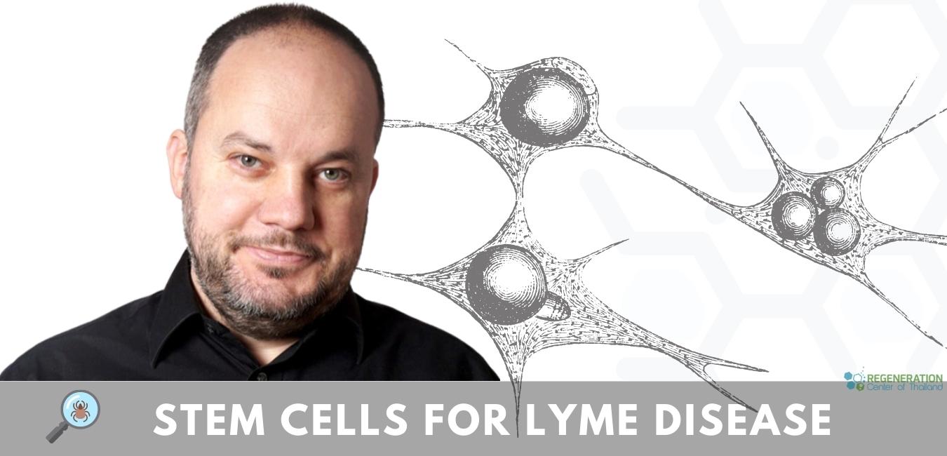 lyme disease cell
