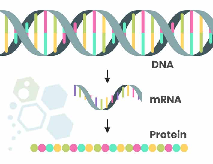 BenefitsOfMrna