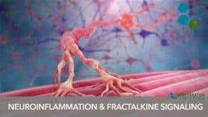 Neuroinflammation-fractalkine-cell-signaling