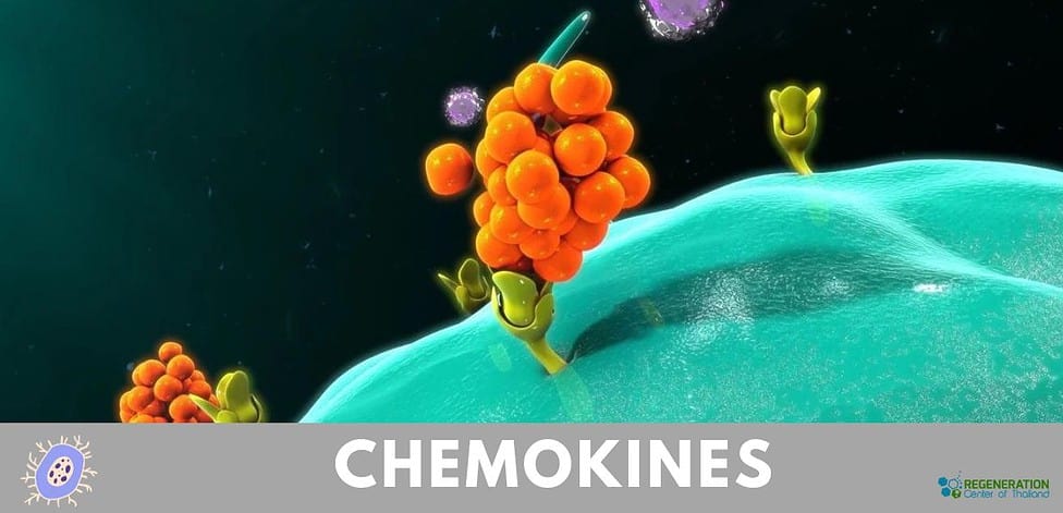 chemokines receptors