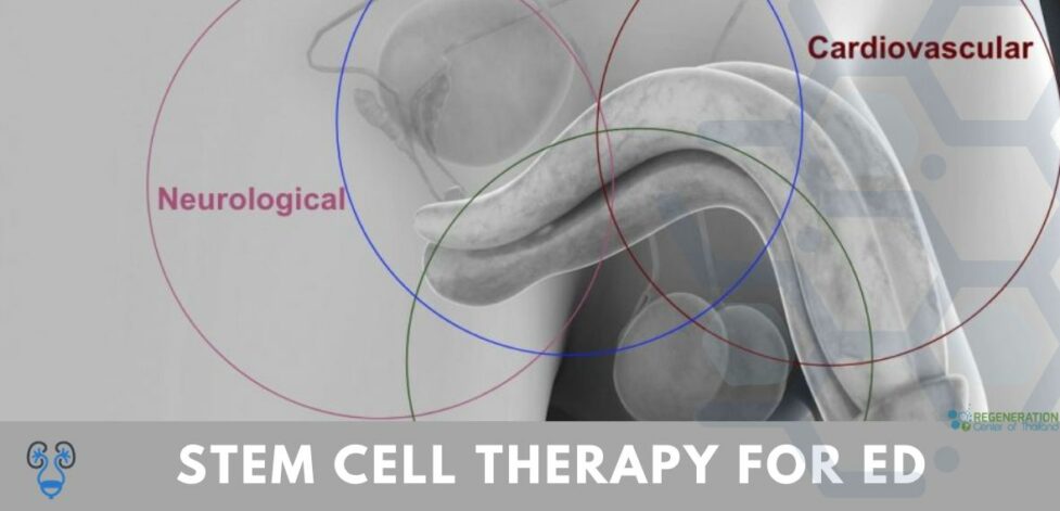 Stem Cell Therapy for ED & Impotence