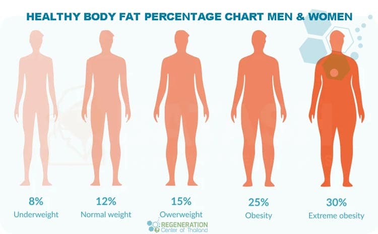 Healthy-Body-fat-chart-regeneration-center