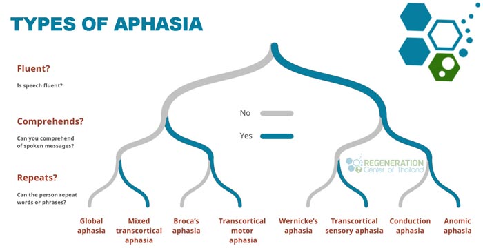 different_types_of_aphasia_stemcells