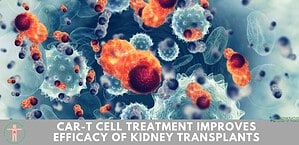 CAR-T cell treatment improves efficacy of kidney transplants