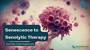 Senescence to Senolytic Therapy Zombie Cells Explained Wellness