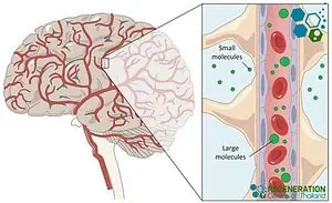 bypassing-blood-brain-barrier