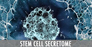 stem-cell-secretome-therapy