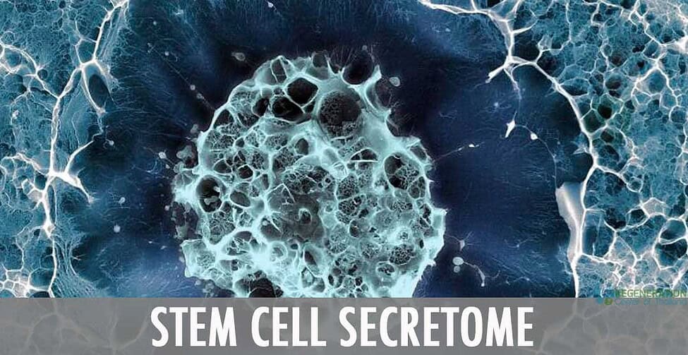 stem-cell-secretome-therapy