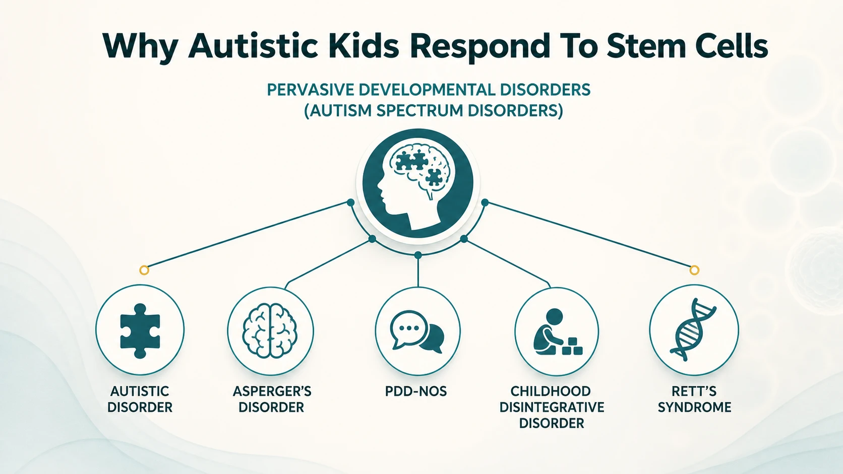 Why Autistic Kids Respond To Stem Cells