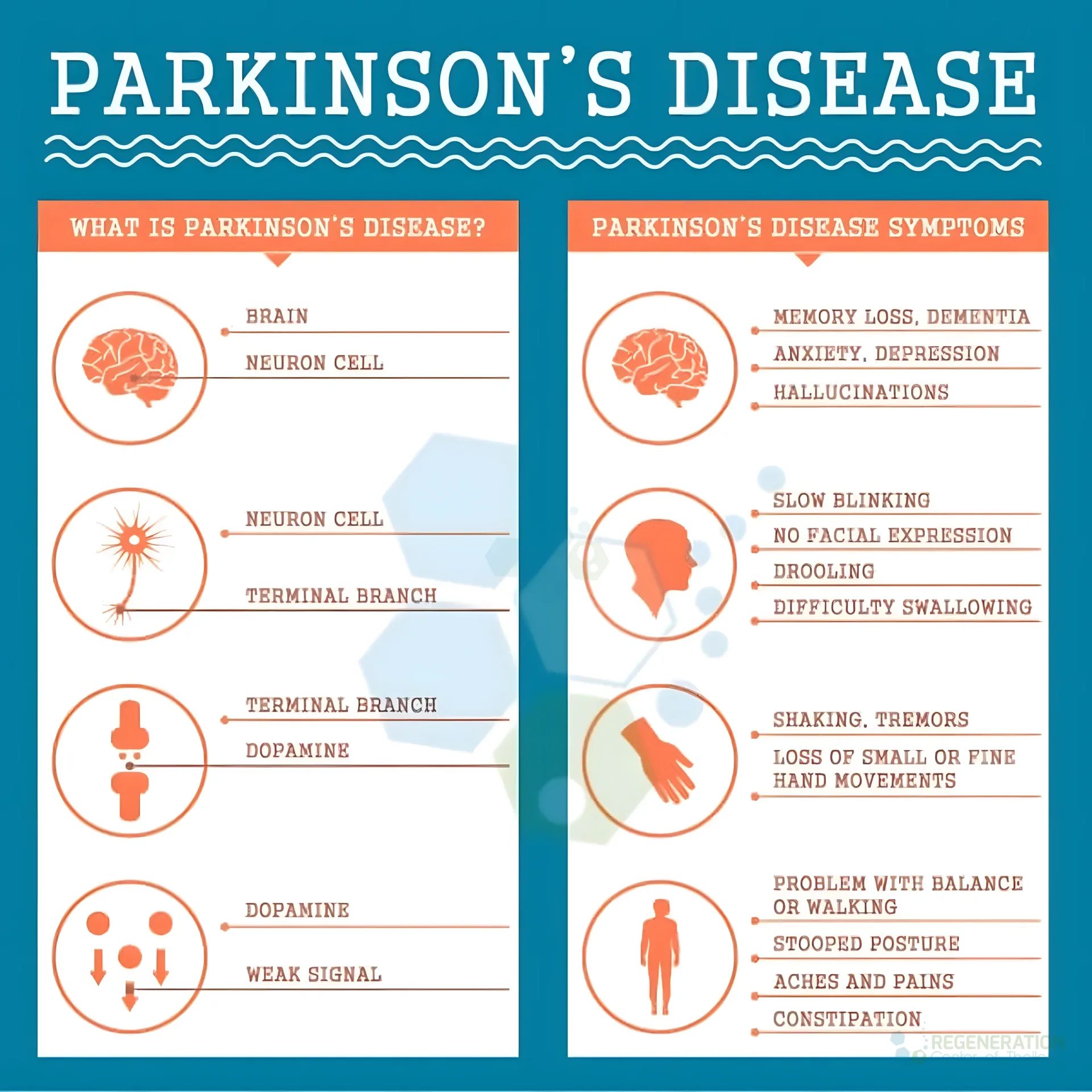 Parkinson disease infographic showing dopamine-related neuron changes and common motor and nonmotor symptoms